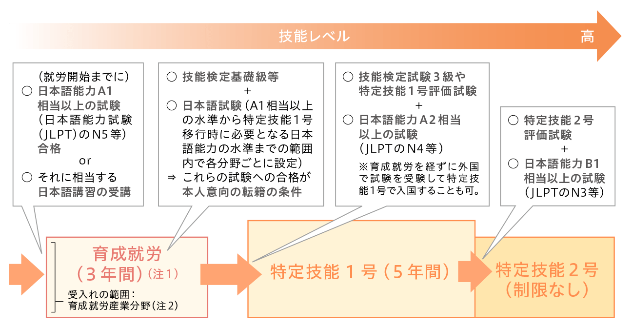 育成就労制度について